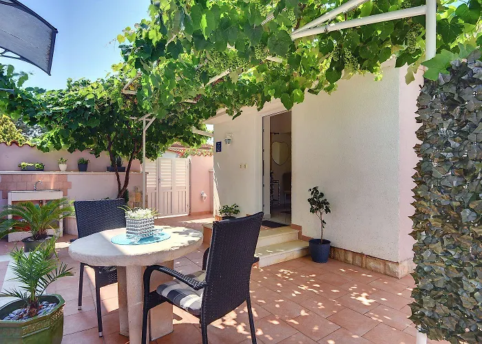 House Michelle Šišan